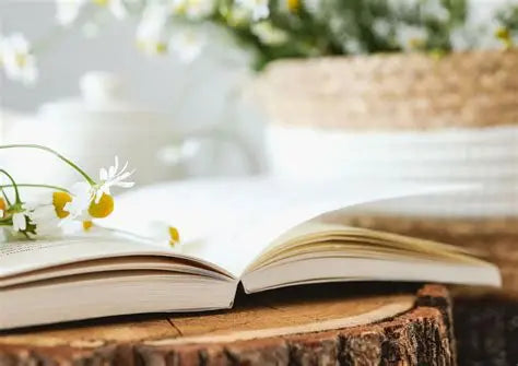 Volver a ti - Diario de gratitud y confianza interior